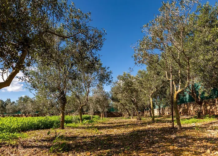 Sunset Haven At Ferdinand's Grove With Private Pool Dom wakacyjny *